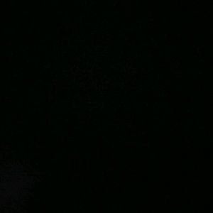 Meet your Posher, King